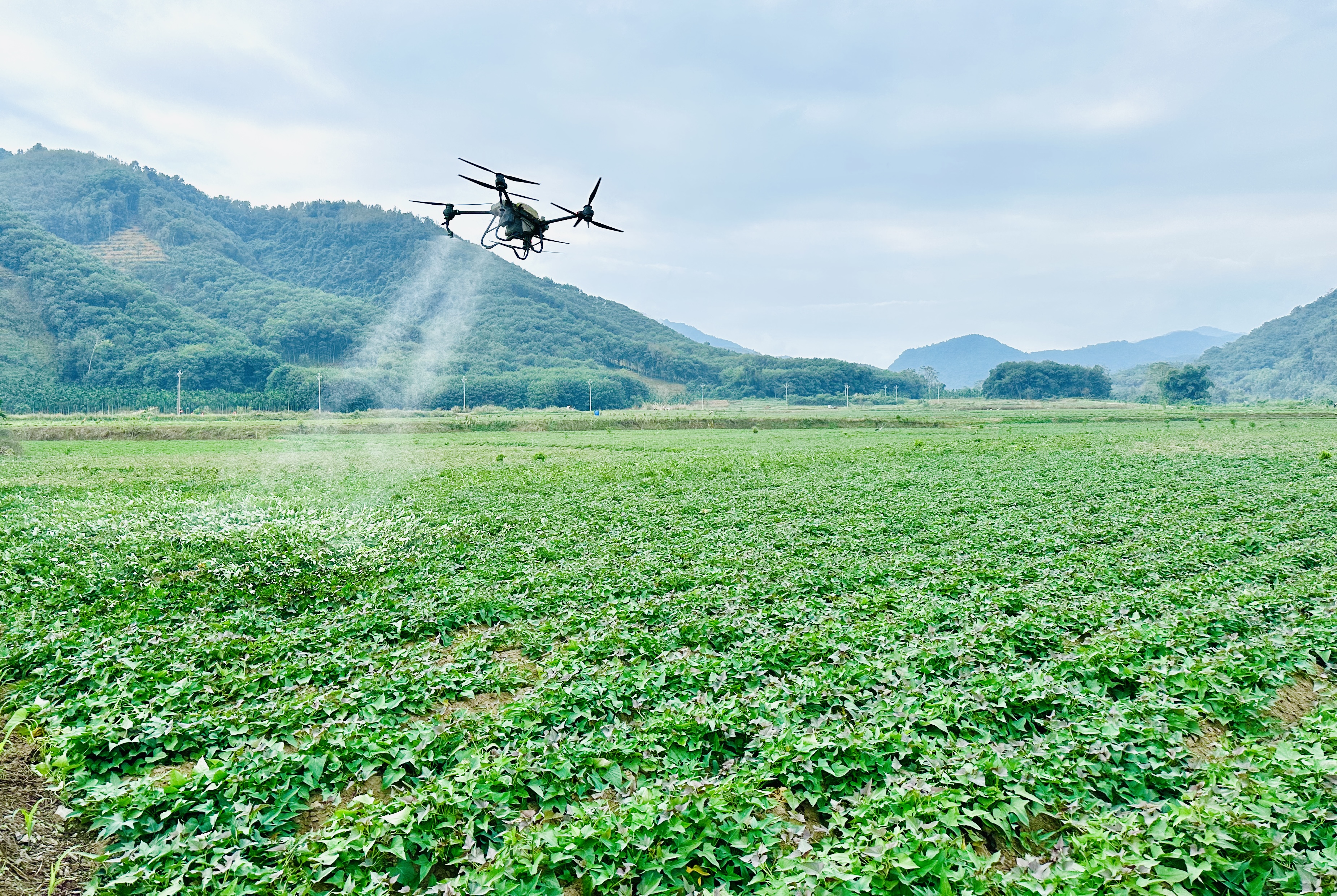 17096879991954619spd.jpg 17096879991954619spd.jpg