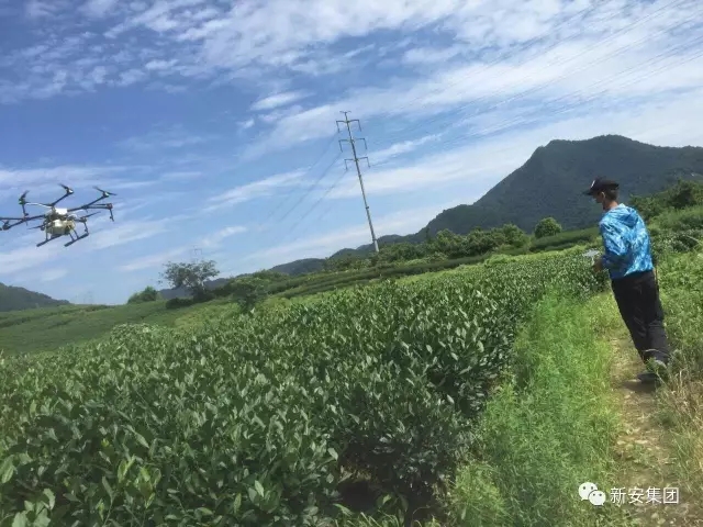 1500425727833540H4Ha.jpg 640.webp (8).jpg